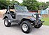 1982 Jeep CJ for sale 101518685