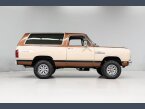 Thumbnail Photo 5 for 1983 Dodge Ramcharger AW 100 4WD