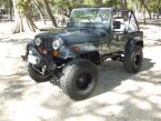 Thumbnail Photo 6 for 1983 Jeep CJ 7 for Sale by Owner