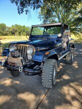 1983 Jeep CJ 7 Limited for sale 101793594
