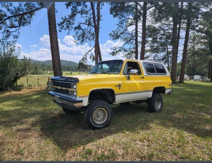 Photo 1 for 1984 Chevrolet Blazer 4WD 2-Door for Sale by Owner