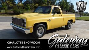 1984 Chevrolet C/K Truck 2WD Regular Cab 1500 for sale 101957037