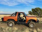 Thumbnail Photo 1 for 1984 Ford Bronco XLT for Sale by Owner