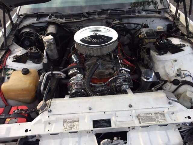 1984 Pontiac Firebird Trans Am Coupe for sale near GARDNERVILLE, Nevada