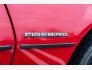 1984 Pontiac Firebird Coupe for sale 101815814
