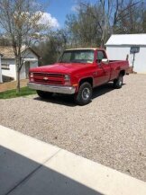 1985 Chevrolet C/K Truck for sale 101969167