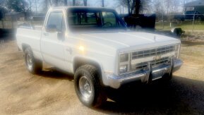 1985 Chevrolet C/K Truck 2WD Regular Cab 1500 for sale 102006277