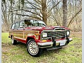 1985 Jeep Grand Wagoneer for sale 102020142