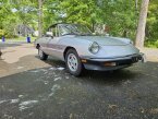 Thumbnail Photo 2 for 1986 Alfa Romeo Spider for Sale by Owner