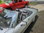 Thumbnail Photo 4 for 1986 Alfa Romeo Spider for Sale by Owner