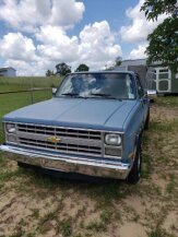 1986 Chevrolet C/K Truck for sale 101930004