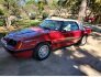 1986 Ford Mustang Convertible for sale 101675695