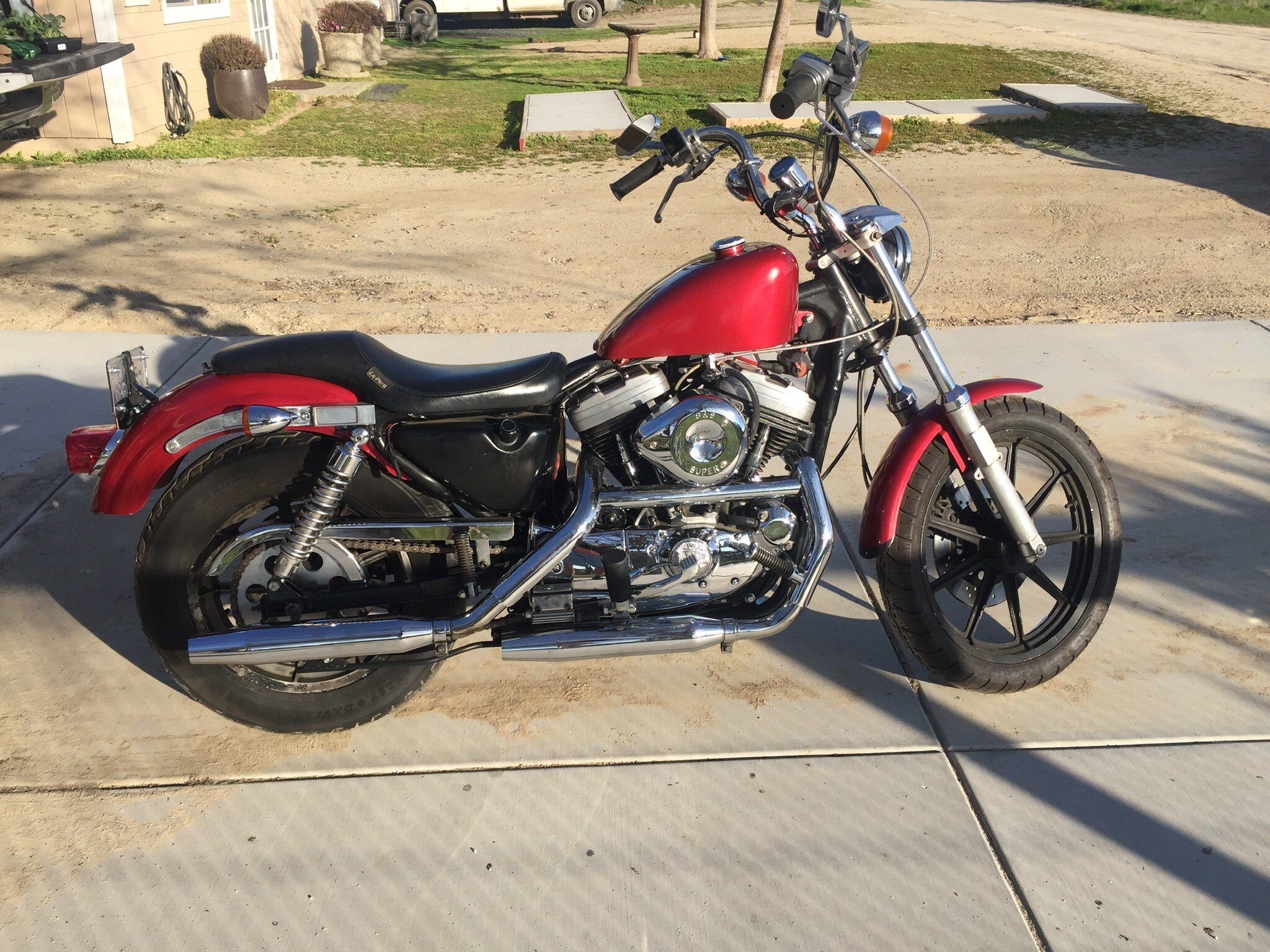 sportsters for sale