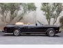 1986 Rolls-Royce Corniche for sale 101800204