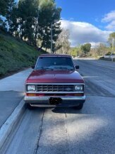 1987 Ford Bronco for sale 101993287