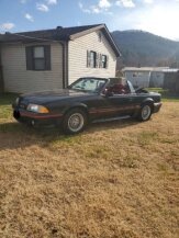 1988 Ford Mustang for sale 102019000