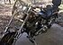 1988 Harley-Davidson Softail for sale 200550381