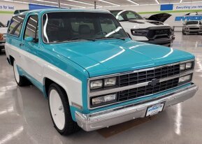 1989 Chevrolet Blazer for sale 101829141