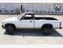 1989 Dodge Dakota for sale 101750102