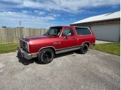 1989 Dodge Ramcharger 2WD