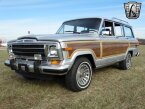 Thumbnail Photo undefined for 1989 Jeep Grand Wagoneer