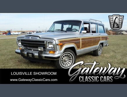 Thumbnail Photo undefined for 1989 Jeep Grand Wagoneer