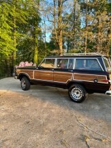 1989 Jeep Grand Wagoneer for sale 101736271