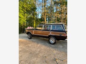 1989 Jeep Grand Wagoneer for sale 101736271