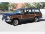 1989 Jeep Grand Wagoneer for sale 101796121
