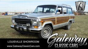 1989 Jeep Grand Wagoneer for sale 101837666