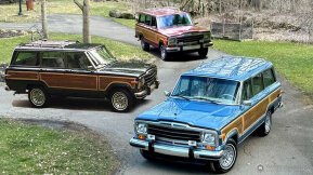 1991 Jeep Grand Wagoneer for sale 101784853