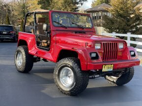 1991 Jeep Wrangler 4WD Renegade for sale 101950617