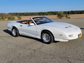 1991 Pontiac Firebird for sale 101499241