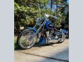 1994 Harley-Davidson Dyna Low Rider Custom