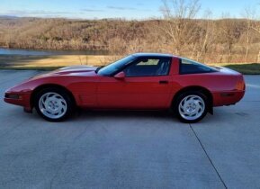 1995 Chevrolet Corvette for sale 101992364