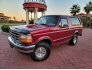 1995 Ford Bronco for sale 101834394