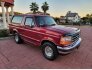 1995 Ford Bronco for sale 101834394