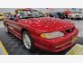 1995 Ford Mustang Convertible for sale 101800081