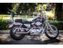 1997 Harley-Davidson Sportster for sale 201217163