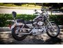 1997 Harley-Davidson Sportster for sale 201217163