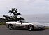 1998 Chevrolet Corvette Convertible for sale 100774336