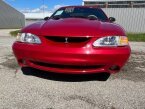 Thumbnail Photo 4 for 1998 Ford Mustang