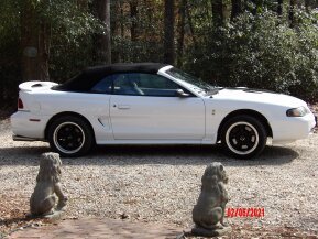 1998 Ford Mustang Cobra Convertible for sale 101836969