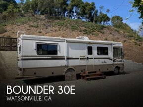 1999 Fleetwood Bounder for sale 300408811