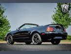 Thumbnail Photo 4 for 1999 Ford Mustang Cobra Convertible