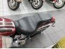 2000 Harley-Davidson Softail for sale 201093099