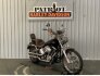 2000 Harley-Davidson Softail for sale 201353384