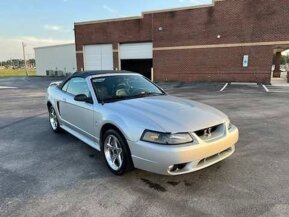 2001 Ford Mustang for sale 101970372