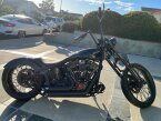 Thumbnail Photo 1 for 2001 Harley-Davidson Softail for Sale by Owner