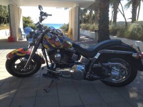 2001 Harley-Davidson Softail for sale 201205052